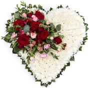 Red Rose massed White Full Heart Foliage Edge 