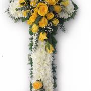 Massed white cross with yellow spray 