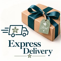  EXPRESS DELIVERY