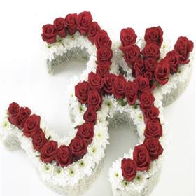 fwthumbIMG_5346.jpg